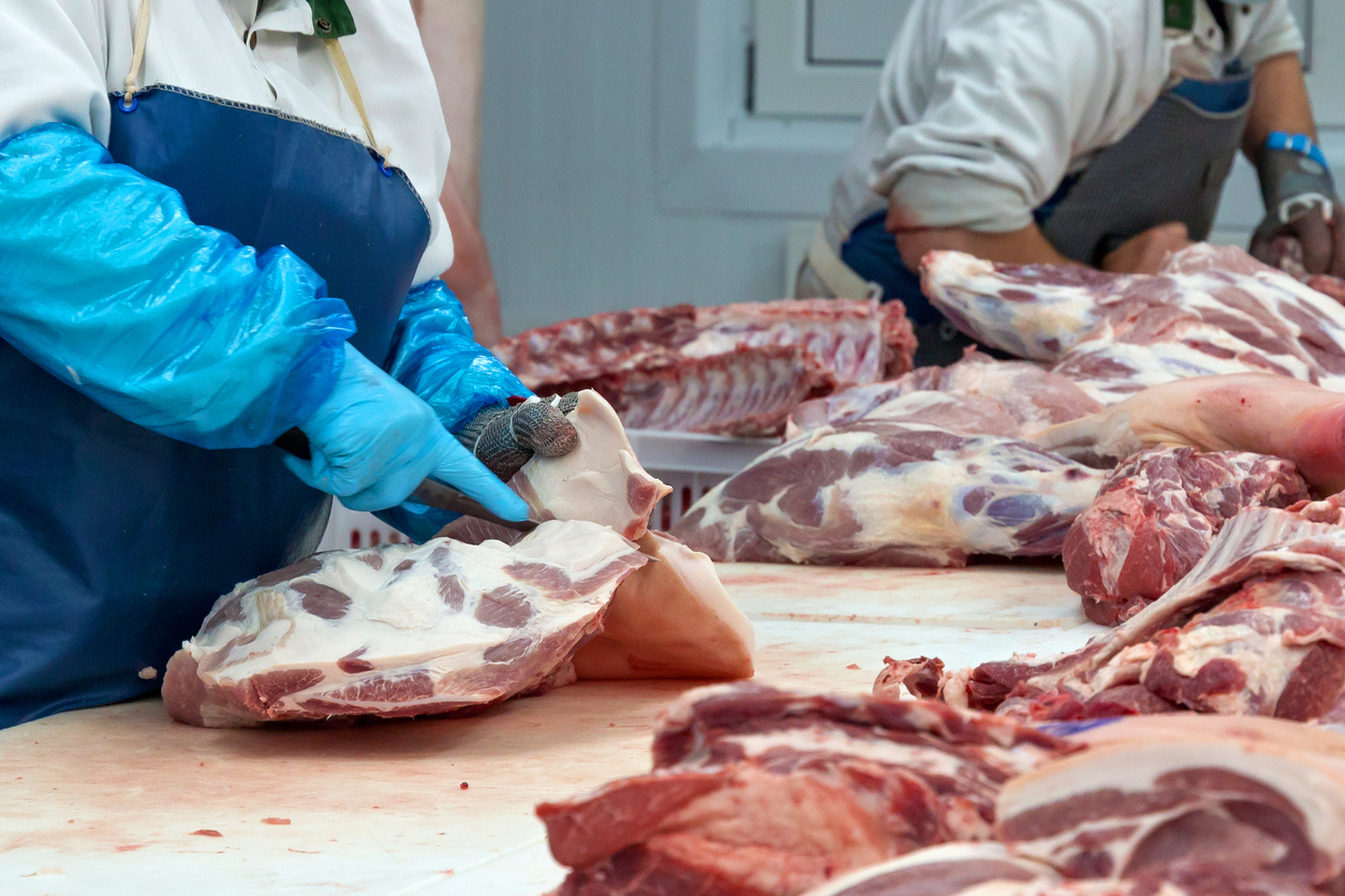 Butchers are cutting pork in the meat plant.