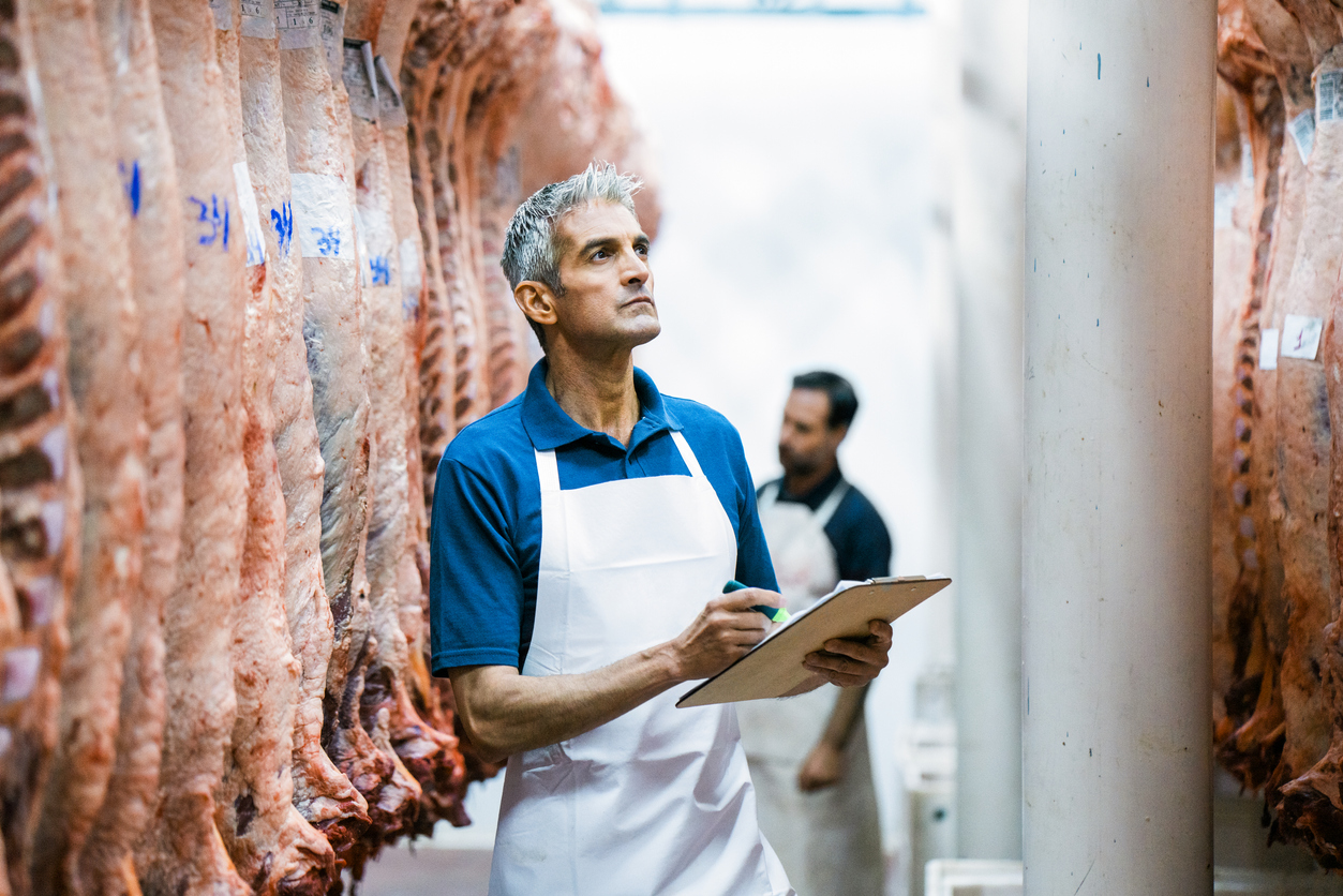 Butcher making quality report in slaughterhouse